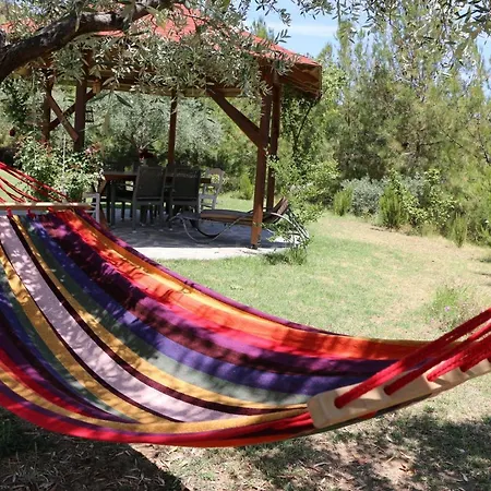 Fantasy Grand Thassos *