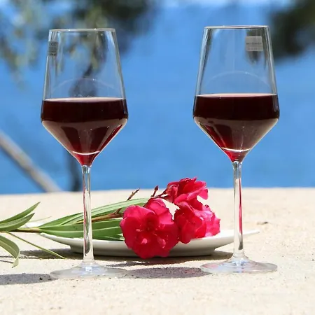 Fantasy Grand Thassos Διαμέρισμα Αστρίδα