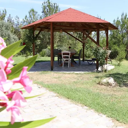 Fantasy Grand Thassos