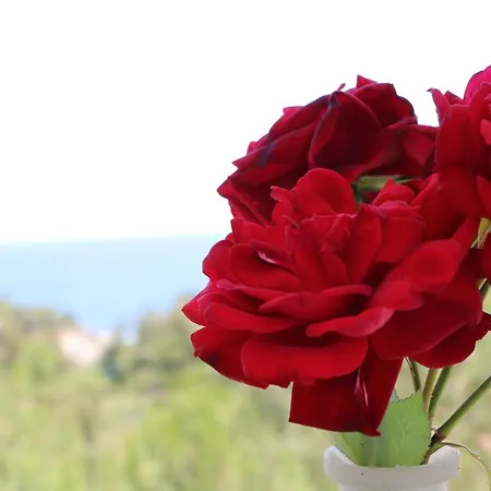 Fantasy Grand Thassos Αστρίδα