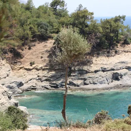 Fantasy Grand Thassos Appartement