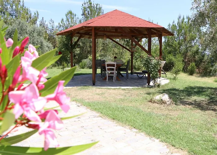 Fantasy Grand Thassos